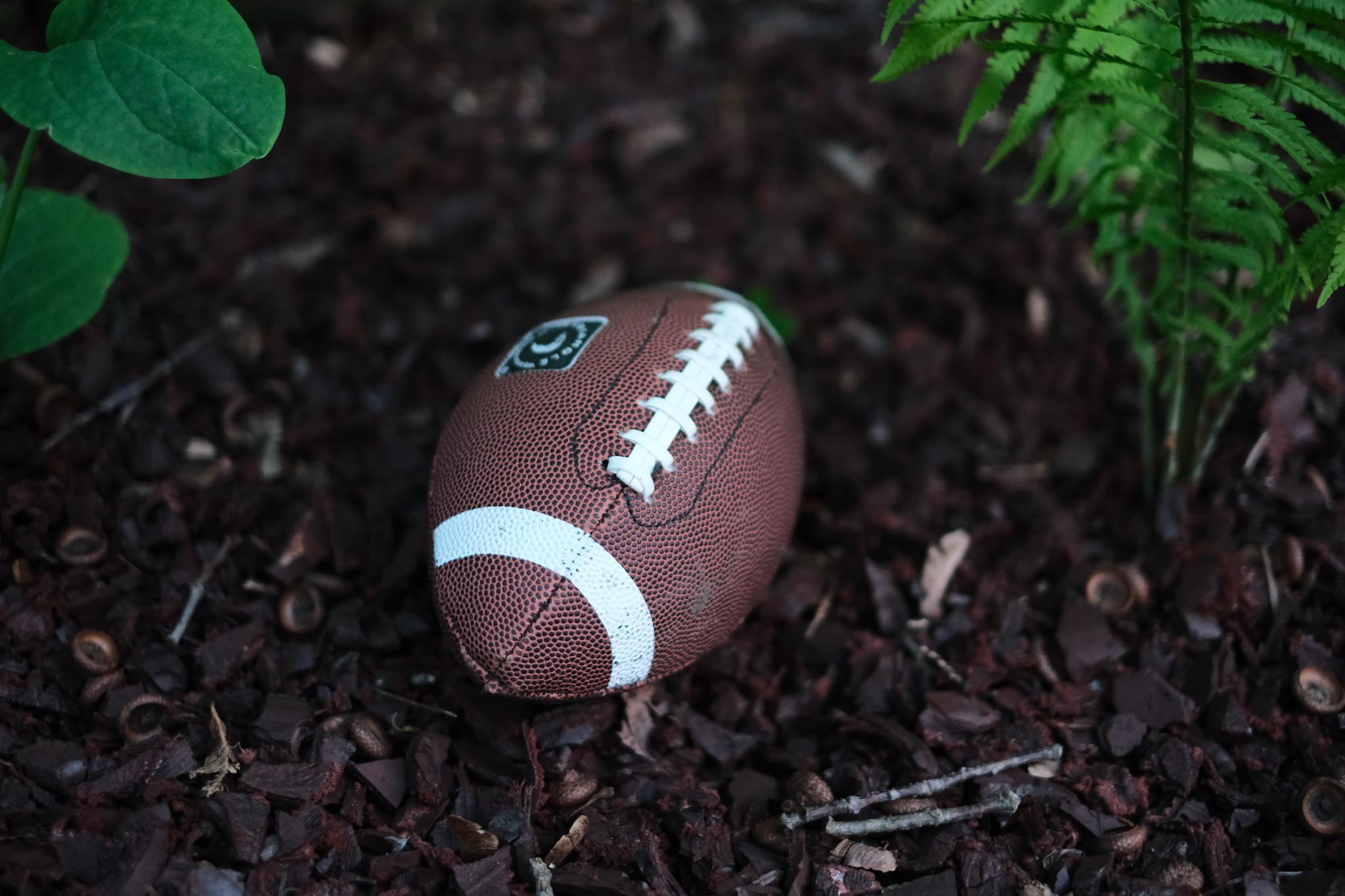 A small football rests on dark soil surrounded by green plants
