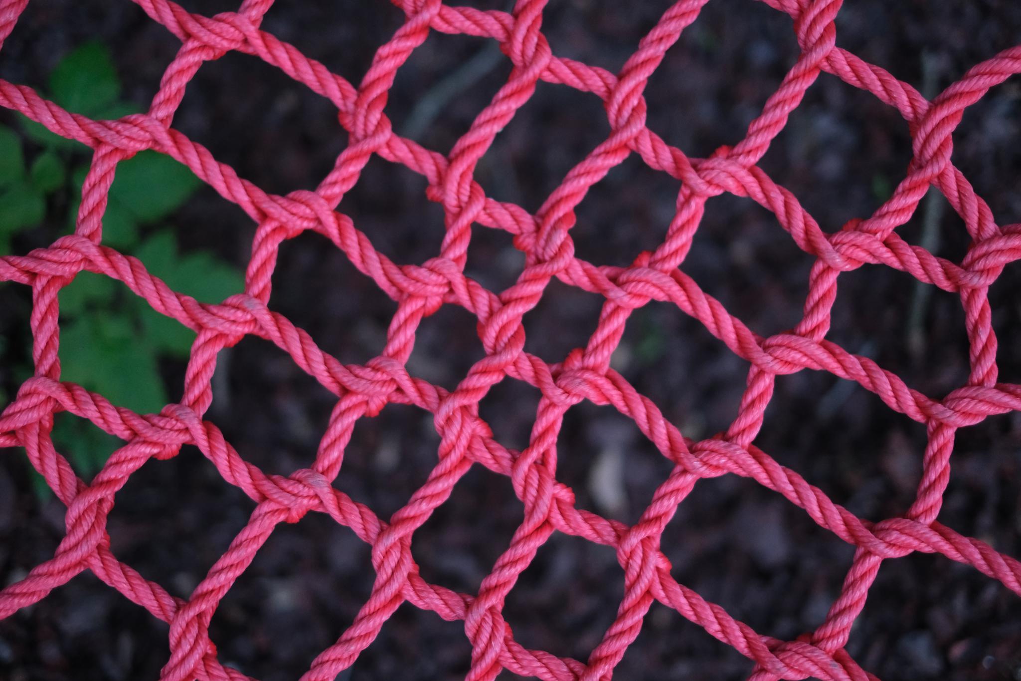 A close-up of a pink net structure against a blurred green and black background
