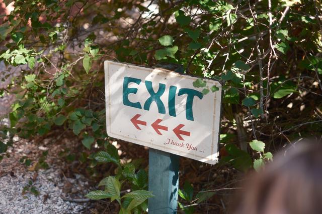 A handmade sign with the word EXIT painted in blue, accompanied by three red arrows pointing to the left, is mounted on a post in front of some dense greenery