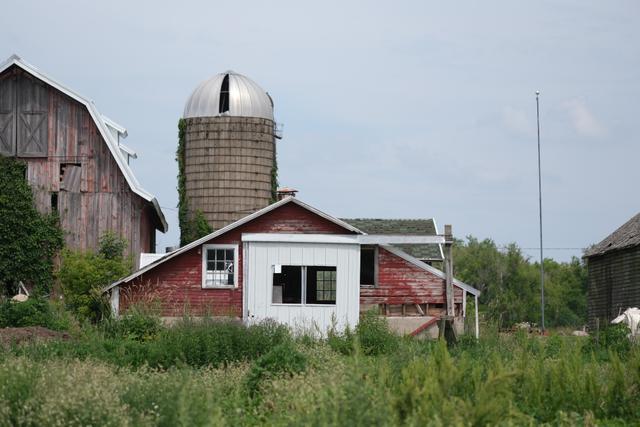A rustic farm scene with a red barn, a tall silo, and overgrown vegetation in the foreground