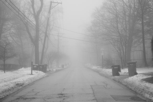 A foggy street with snow on the ground, lined with bare trees and utility poles, and trash bins on the sidewalk