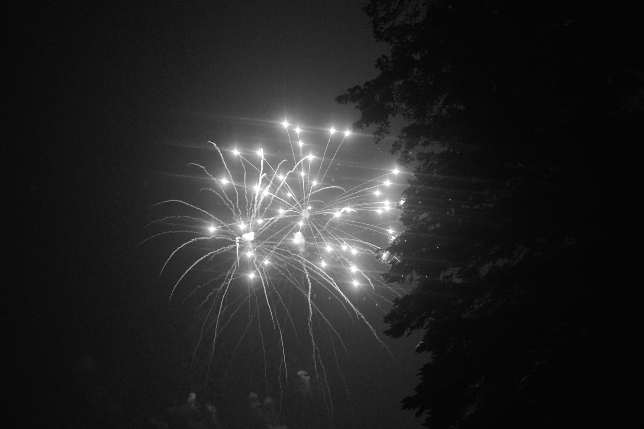 Fireworks exploding in the night sky with tree silhouettes on the right side