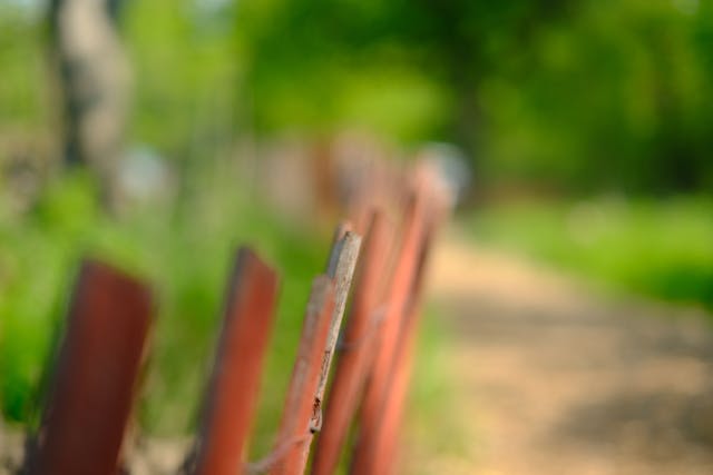 A close-up of a weathered red fence with a blurred background of a dirt path and green foliage