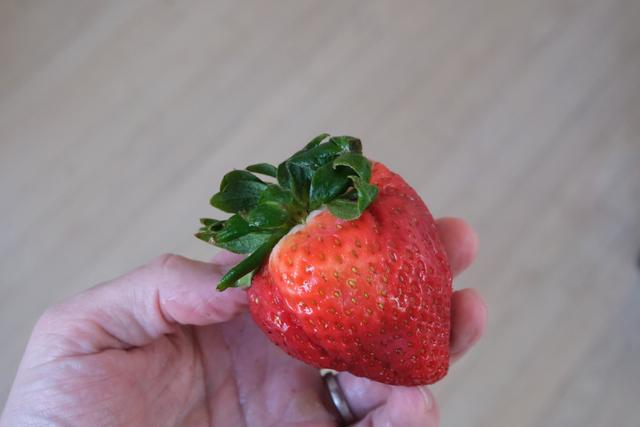 A hand holding a large strawberry against a blurry background