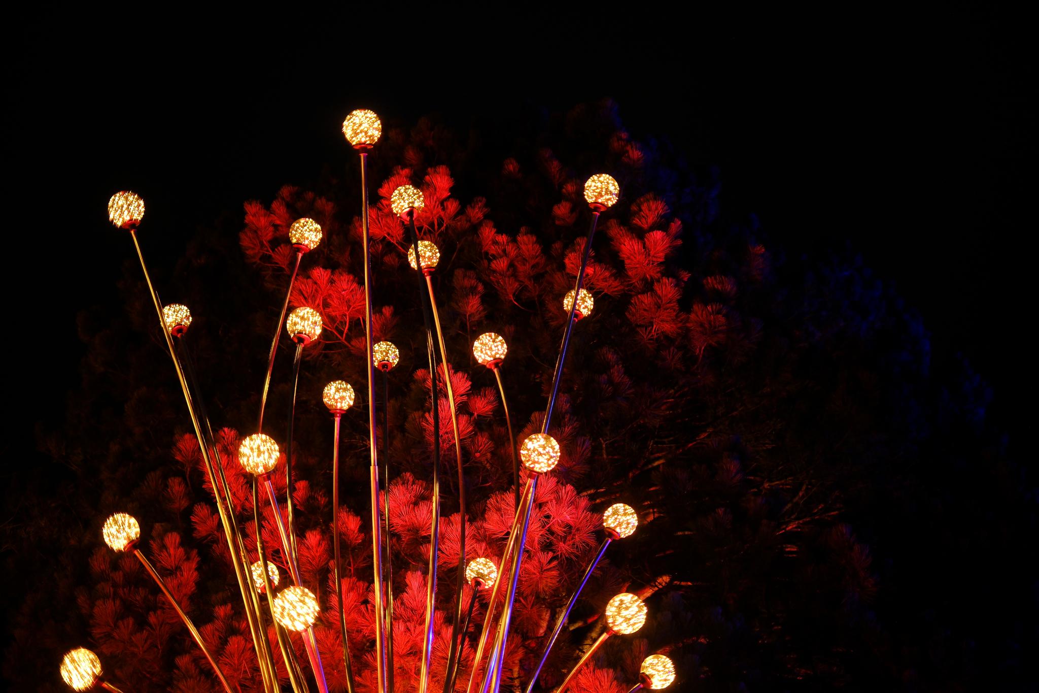 Brightly lit spherical lights on long stems against a dark background, with red and blue hues in the backdrop