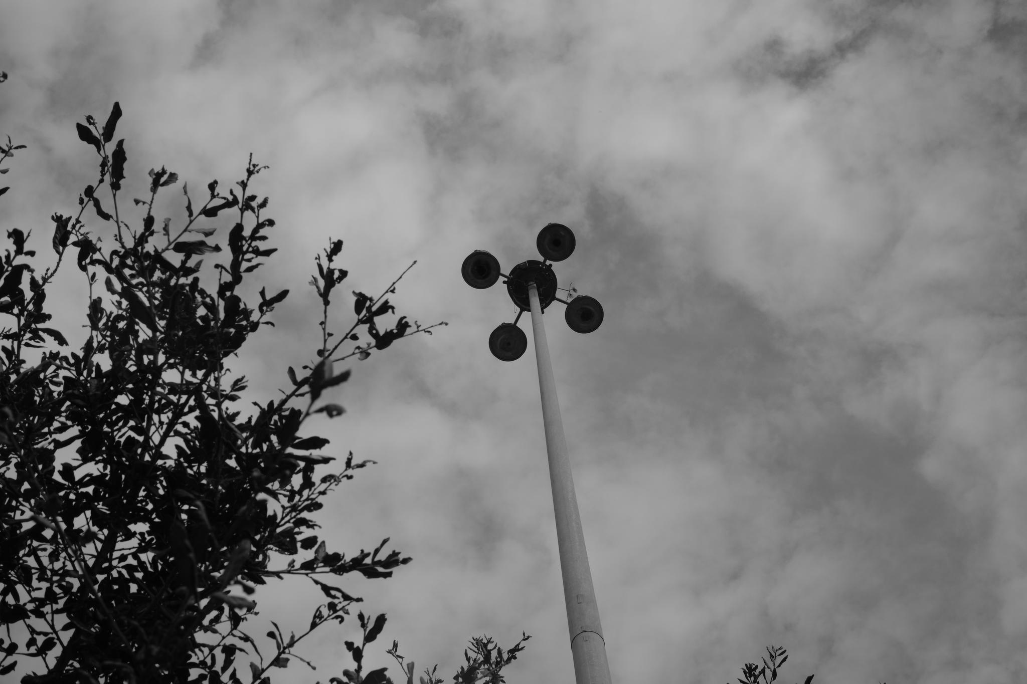 A tall streetlight with multiple lamps, viewed from below against a cloudy sky, with tree branches on the left side