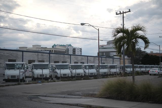 A row of white trucks parked in an industrial area with buildings in the background and a palm tree in the foreground