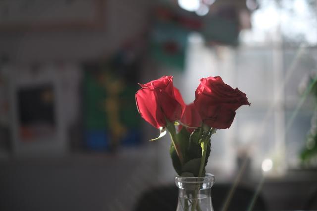 Two red roses in a glass vase with a blurred background suggesting an indoor setting with sunlight filtering through