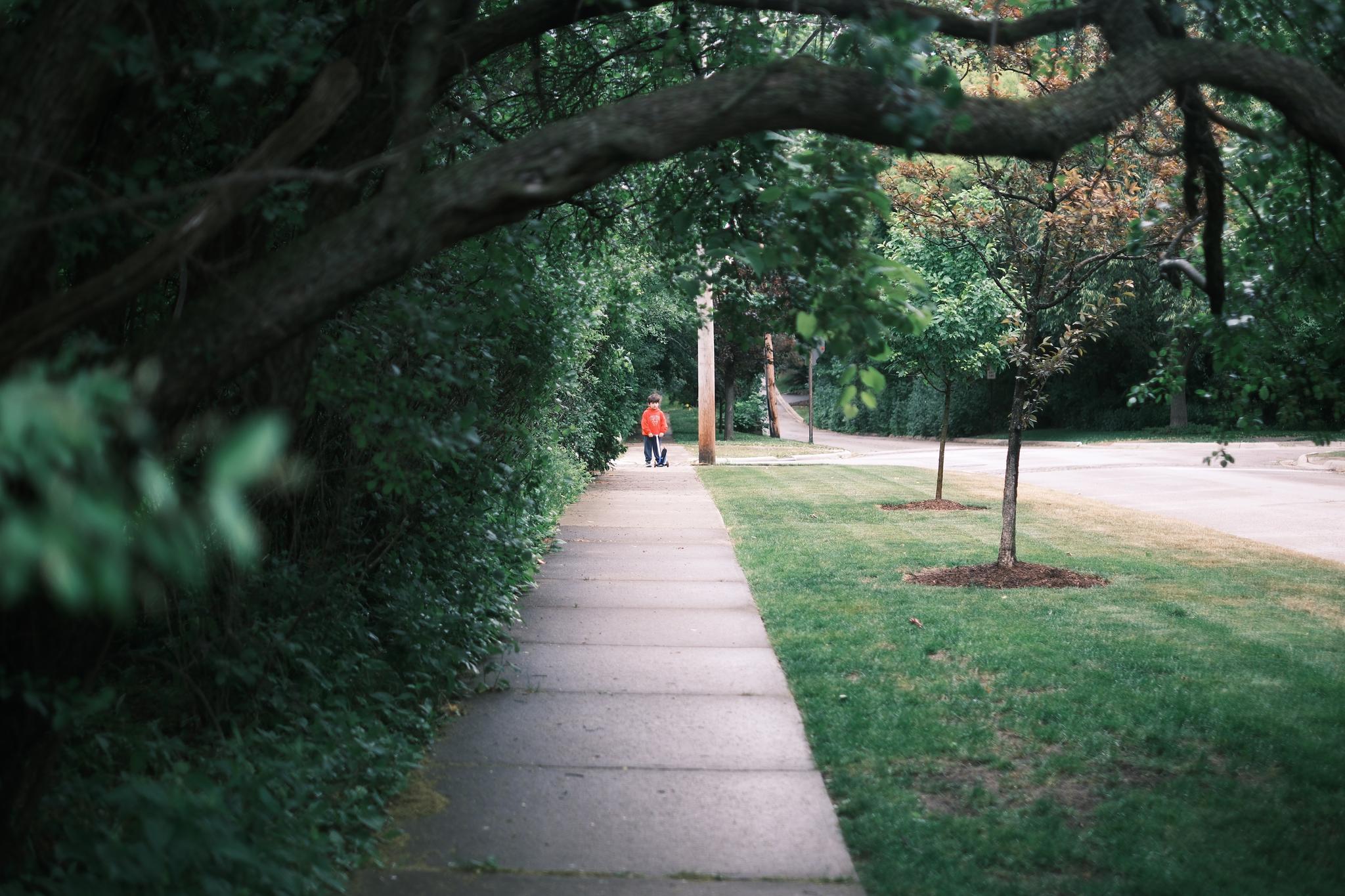 A sidewalk bordered by lush greenery on one side and a grassy area with trees on the other, with a person walking in the distance