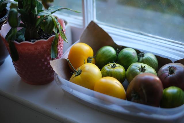 A variety of tomatoes in different colors and stages of ripeness are placed in a container on a windowsill next to a potted plant