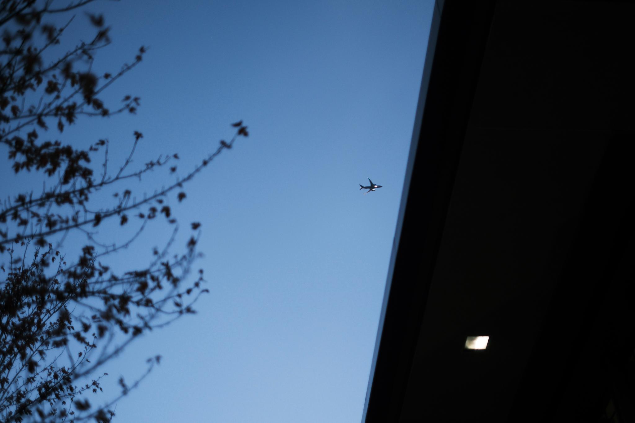 A small airplane flying in a clear blue sky, with tree branches on the left and a building edge on the right