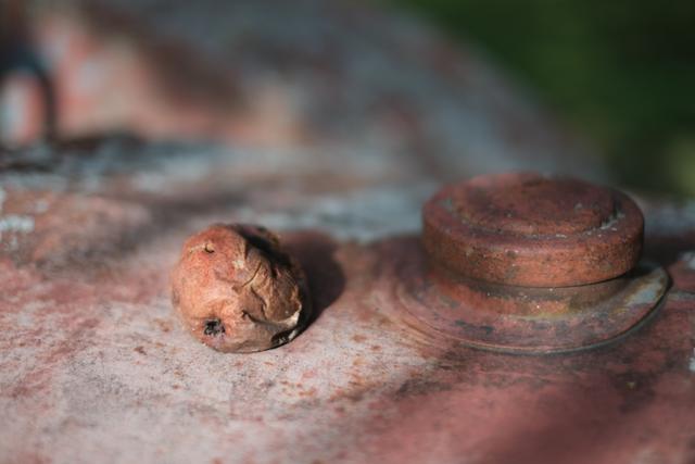 A close-up of a rusted metal surface with a small, round, corroded object and a larger, circular, rusted component