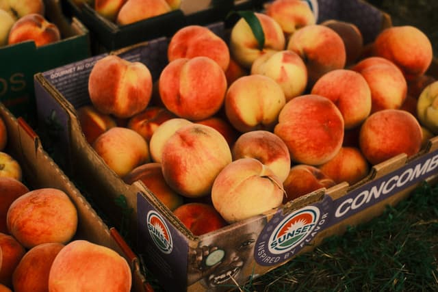 Crates of ripe peaches stacked at an outdoor market