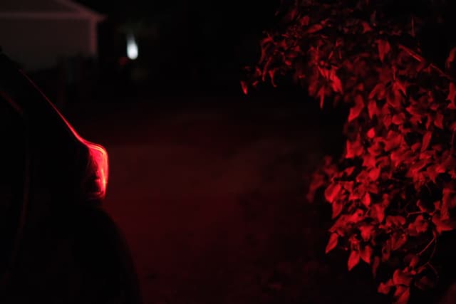 A dark scene with a car's red taillight illuminating nearby foliage