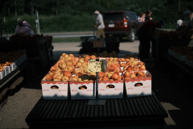 Boxes of apples displayed on a table at an outdoor market, with people and a vehicle in the background