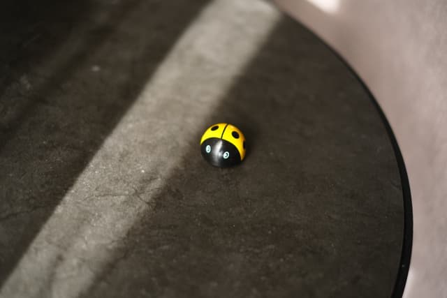 A yellow and black ladybug on a dark surface with a curved edge, illuminated by a beam of light