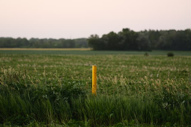 A grassy field with a yellow post in the center, bordered by trees in the background under a pale sky