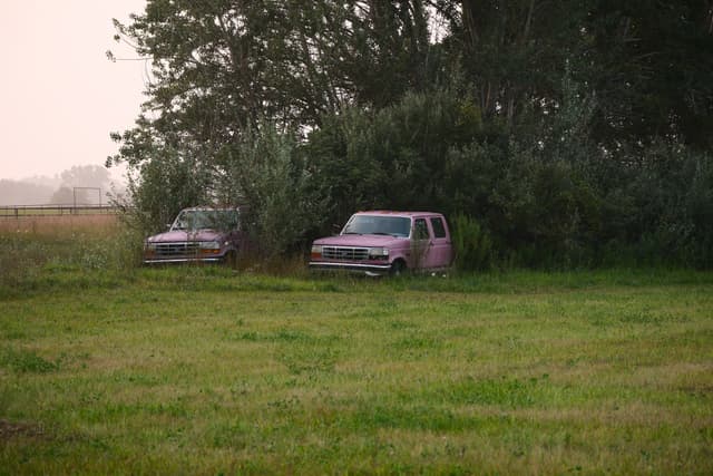 Two vans parked at the edge of a grassy field beside trees, with hazy light in the background