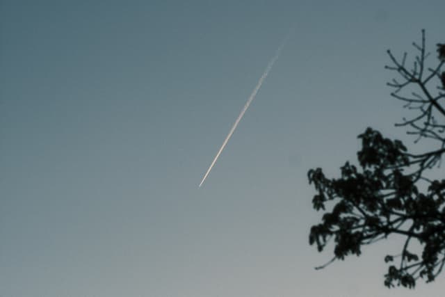 A contrail streaks diagonally across a clear sky, with tree branches silhouetted on the right