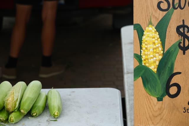 Close-up of several ears of corn on a table beside a hand-painted sign with a corn illustration and a price at a market stand
