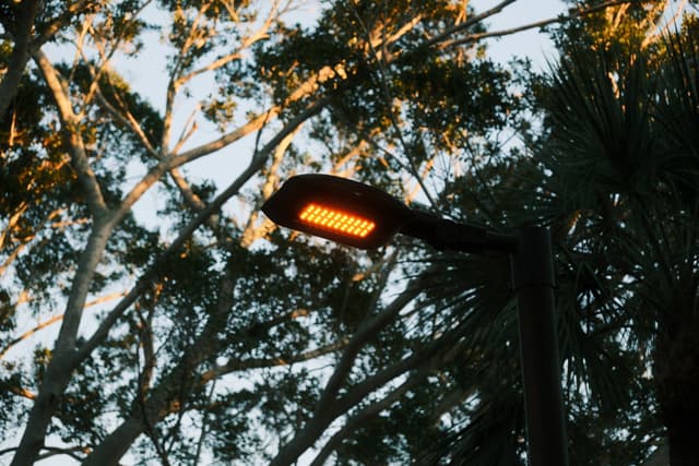 Upward view of a glowing streetlight framed by tree branches against a bright sky