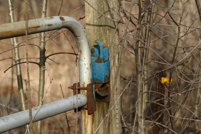 A rusty metal gate is attached to a wooden post with a blue hinge, surrounded by bare branches