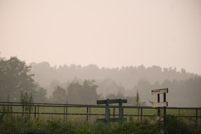 Foggy rural landscape with a metal fence and small sign in the foreground, trees fading into mist in the distance