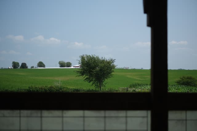 A green field with a single tree in the center, framed by a dark structure in the foreground, and a few trees and a building in the background under a blue sky with scattered clouds