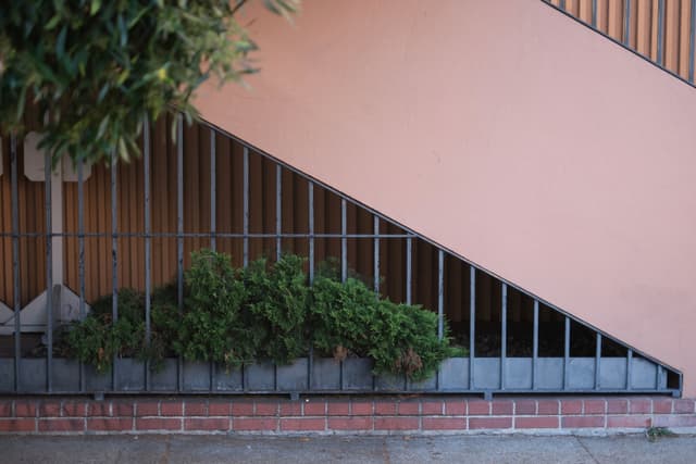 A staircase with a pink wall and metal railings, with green shrubs planted at the base