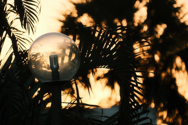 Glowing streetlamp silhouetted by palm fronds against a warm sunset sky
