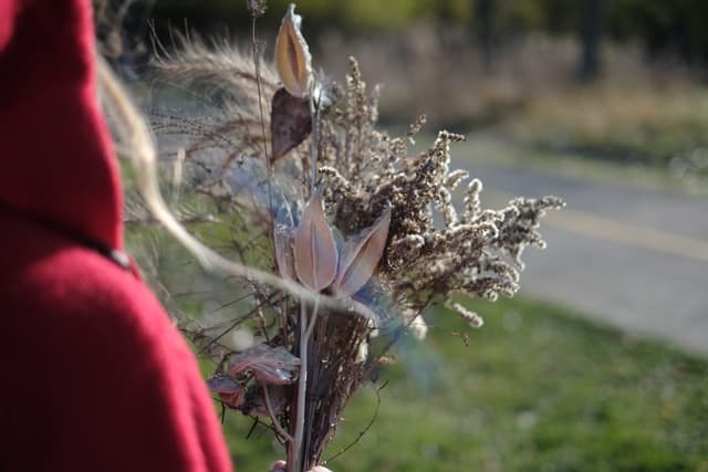 A person in a red coat holding a bundle of dried plants and flowers, with a blurred background of a pathway and greenery