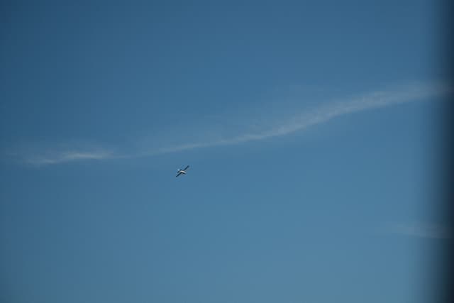 A vast blue sky with a long, thin cloud and a small airplane flying nearby