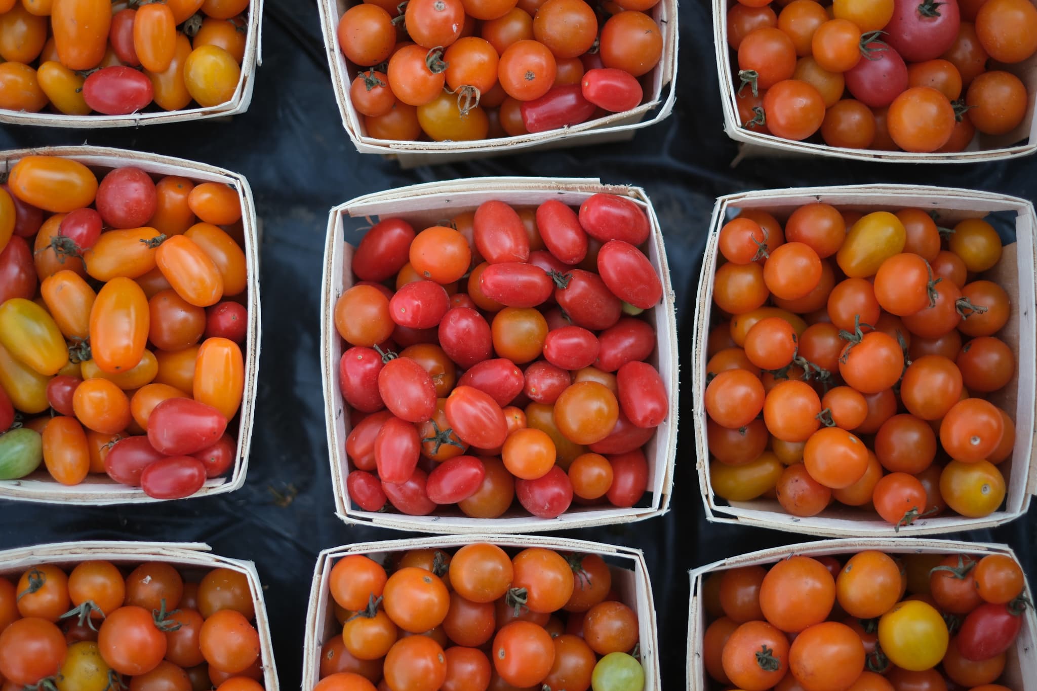 Nine baskets filled with various types of small tomatoes in shades of red, orange, and yellow