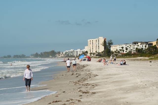 Sandy beach shoreline with gentle waves, a few people walking along the water’s edge, and mid-rise beachfront buildings under a clear blue sky