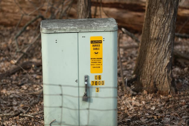 A metal utility box with a warning label, surrounded by trees and fallen leaves