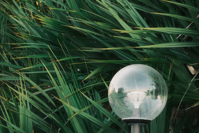Glass globe lamp nestled among lush green foliage and long blades of grass