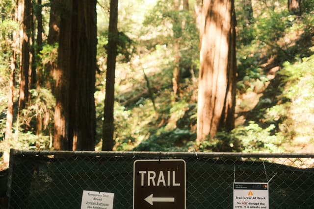 A trail sign with a left-pointing arrow stands along a mesh fence amid tall trees and sunlit forest foliage