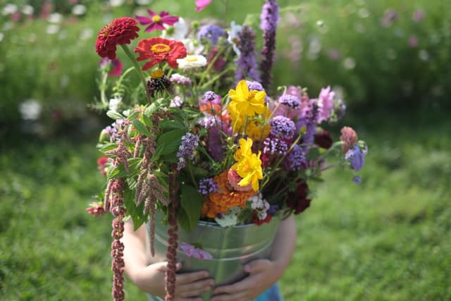 A person holding a metal bucket filled with a colorful assortment of flowers, including red, yellow, purple, and white blooms, against a blurred green background