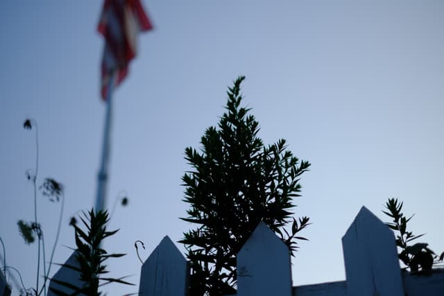 A white picket fence with a tree and an American flag in the background, set against a clear sky