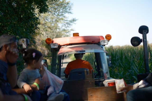 A tractor pulling a group of people on a ride through a field, with trees and crops visible in the background