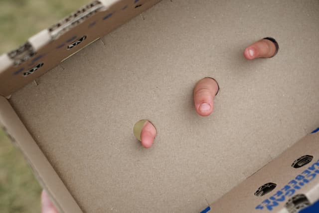 Three small baby teeth resting inside an open cardboard box