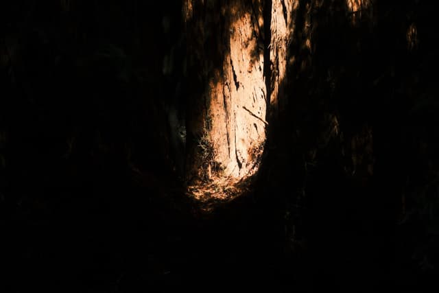 Warm sunlight illuminates rugged rock walls within a dark, narrow cavern