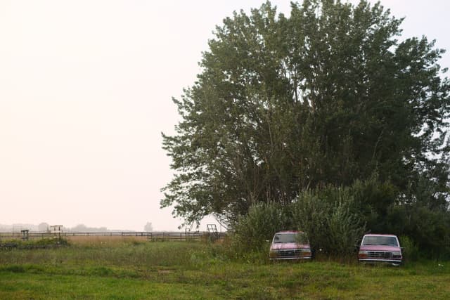 Two parked cars near a tree line beside an open grassy field at dusk