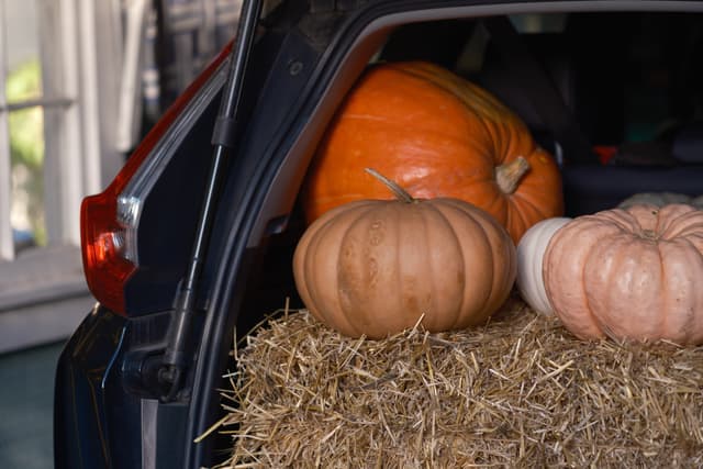 A car trunk filled with hay bales and three pumpkins, including a large orange one and two smaller ones