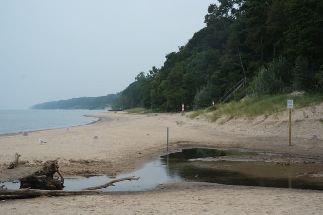 Narrow stream winding across a sandy beach toward the sea, bordered by forested cliffs under an overcast sky