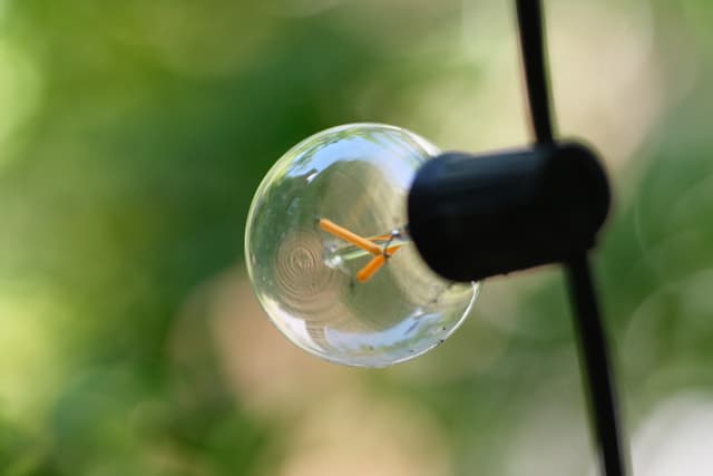 A round light bulb attached to a black socket, against a blurred green background