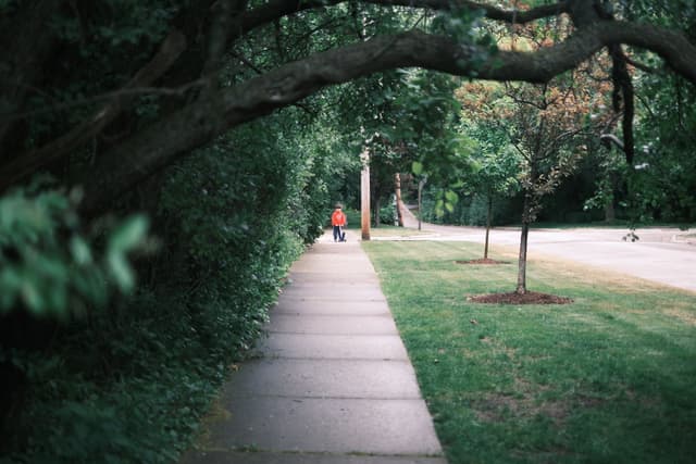 A sidewalk bordered by lush greenery on one side and a grassy area with trees on the other, with a person walking in the distance