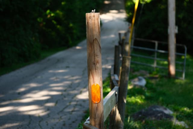 A wooden post with an orange marker stands beside a narrow, winding road surrounded by greenery and trees