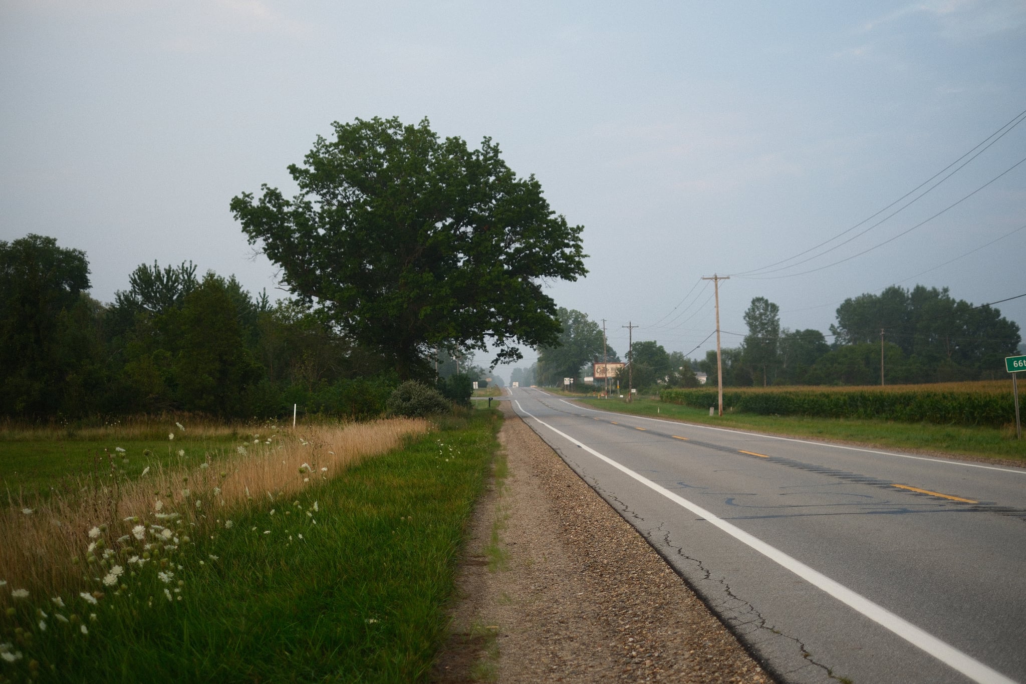 Empty two-lane rural road stretching into the distance beside grassy fields and wildflowers, lined with trees under an overcast sky
