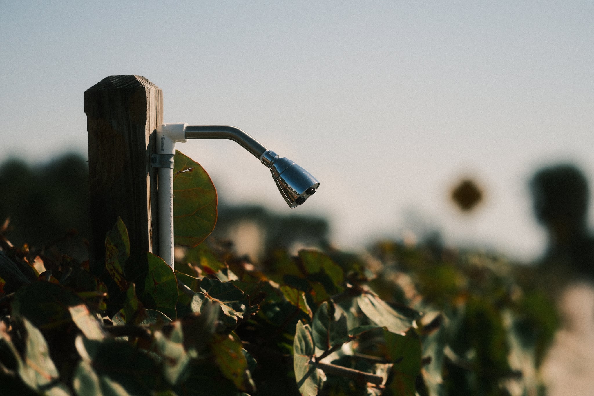 Garden hose nozzle resting on a wooden post beside sunlit hedges with a blurred landscape in the background